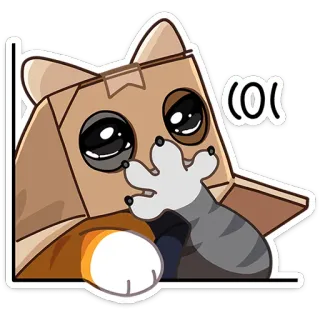 🫢 lol gatto, animale, lol, divertente, adesivo telegram sticker
