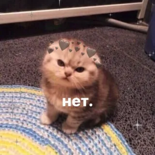 😭 нет. 猫, 子猫, 可愛い, ハート, いいえ, ロシア telegram sticker
