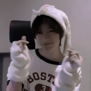 📦 BOSTON Persona, Orecchie da coniglio, Cappello, Gioventù, Carino, Cuore whatsapp sticker