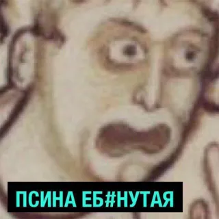 😤 ПСИНА ЕБ#НУТАЯ offensivo, insulto, meme, russo, storico telegram sticker