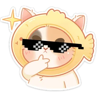 🤔 gato, sombrero de pez, gafas de sol, dedo medio, lindo, pegatina whatsapp sticker
