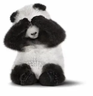 😔 panda, animal, cute, bear, eyes closed, shy telegram sticker