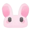🐰