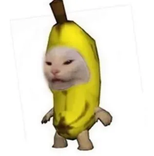 🍌 cat, banana, funny, meme, animal, fruit, humor telegram sticker