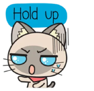 😠 Hold up gato, fofo, espera, animal, desenho animado whatsapp sticker