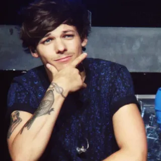 🤦‍♂ Louis Tomlinson Louis Tomlinson, chanteur, One Direction, célébrité, musique, portrait telegram sticker