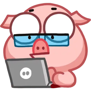 💼 babi, komputer, laptop, kacamata, kartun telegram sticker