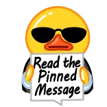📌 duck Read the Pinned Message whatsapp sticker