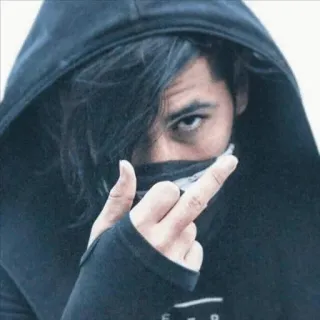 🖕 中指, 冒犯, 手势, 帽衫, 人, 侮辱 telegram sticker