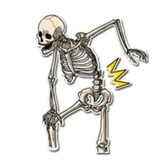 😰 scheletro, infortunio, dolore, mal di schiena, anatomia telegram sticker