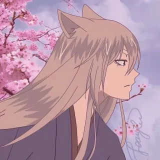 😙 Tomoe Kamisama Kiss Anime, Renard, Mâle, Oreilles, Fleurs de cerisier, Tomoe, Kamisama Kiss telegram sticker