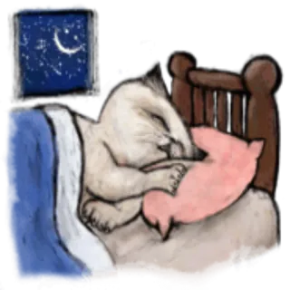 🌚 고양이, 자는, 밤, 침대, 베개 telegram sticker