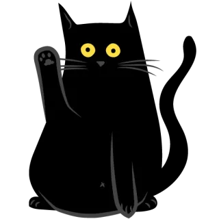 👋 Katze, schwarze Katze, Stinkefinger, beleidigende Geste, Tier, Humor telegram sticker
