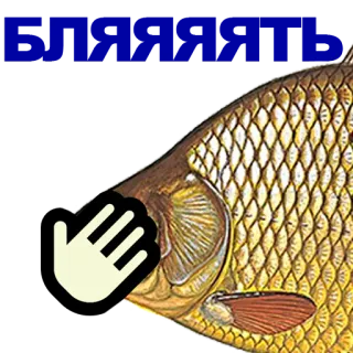 🐠 poisson, gifle, main whatsapp sticker