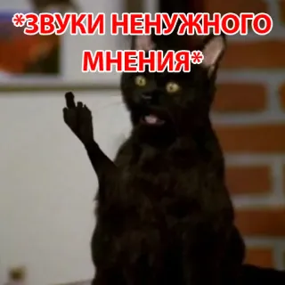 😔 *ЗВУКИ НЕНУЖНОГО МНЕНИЯ* 猫, 中指, 攻撃的, ミーム, 意見, 不要 telegram sticker