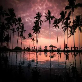😅 sunset, palm trees, tropical, beach, resort, ocean, vacation, scenery, reflection, paradise telegram sticker
