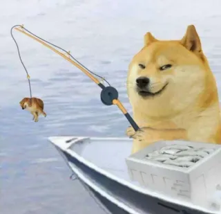 😂 Doge doge, pies, mem, wędkarstwo, zwierzę, zwierzę domowe, humor telegram sticker