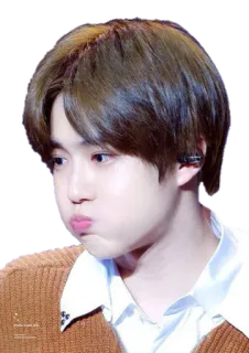 🤭 person, man, portrait, korean, asian, male telegram sticker
