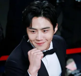 ✊ Kim Seon-ho acteur, coréen, sourire, fossette, beau telegram sticker