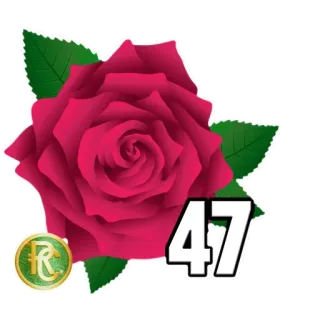 4️⃣ 47 Rosa, Flor, Número 47, Rojo, Planta, Florecer telegram sticker