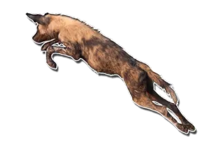 🛫 Likaon, Piesiec, Pies, Zwierzę, Ssaki, Dzikie zwierzęta, Bieganie, Skakanie telegram sticker