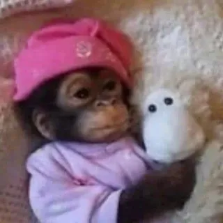 🙈 animal, cute, monkey, toy, sleepy, pink telegram sticker