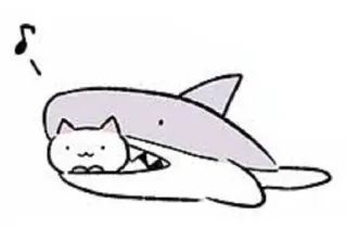 🦈 Katze, Hai, süß, Tier, Cartoon, lustig telegram sticker
