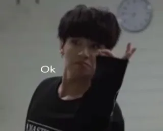 ❣️ Ok ok, gesture, person, expression telegram sticker