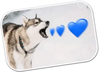❤️ telegram sticker