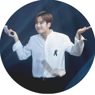 🤷 telegram sticker