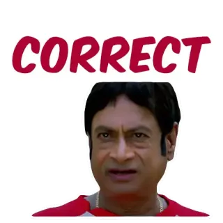 👍 CORRECT poprawny, twarz, wyraz, akceptacja telegram sticker