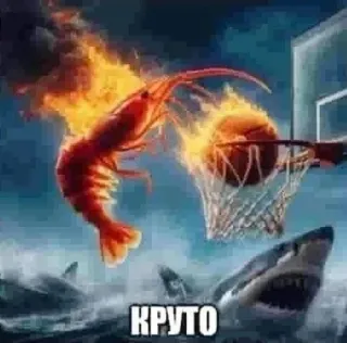 😵 КРУТО crevette, requin, basketball, feu, cool, humour telegram sticker