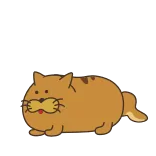 😱 แมว, การ์ตูน, สัตว์, สติกเกอร์ telegram sticker