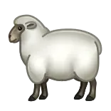 🐑