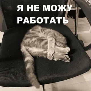 😢 Я НЕ МОГУ РАБОТАТЬ cat, chair, lazy, tired, russian text, animal telegram sticker