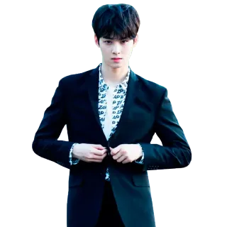 🤗 Cha Eun-woo เกาหลี, นักแสดง, นักร้อง, ไอดอล, Astro, ชาอึนอู, หล่อ, ผู้ชาย telegram sticker