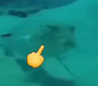 🐡 средний палец, эмодзи, оскорбительный, жест telegram sticker