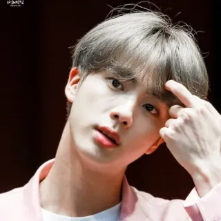 🐹 Jin kpop, Jin, Sänger, Musik, Porträt telegram sticker