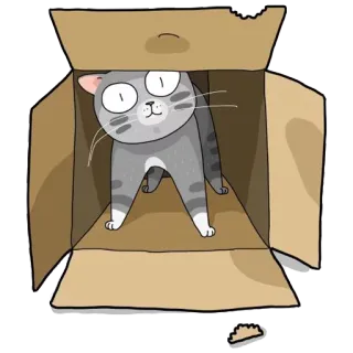 😶 gato, caixa, desenho animado, animal, animal de estimação, fofo, engraçado whatsapp sticker