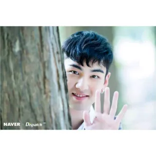 ✋ NAVER x Dispatch HD retrato, homem, asiático, pessoa, rosto, árvore telegram sticker