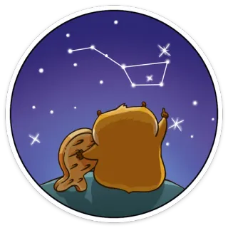 🌌 castor, constelação, estrelas, animal, céu noturno, fofo telegram sticker