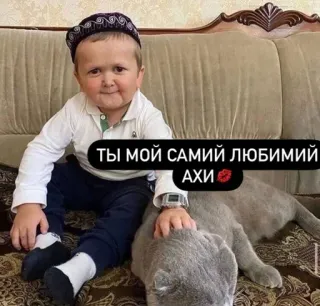 🥰 Hasbulla Magomedov ТЫ МОЙ САМИЙ ЛЮБИМИЙ АХИ hasbulla, cat, cute, russian, child telegram sticker