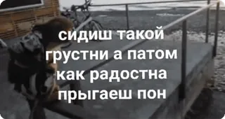 🌟 сидишь такой грустни а патом как радостна прыгаешь пон testo, seduto, triste, felice, saltando whatsapp sticker