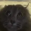 🐈‍⬛