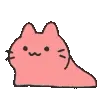🐱