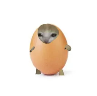 🤩 gatto, uovo, animale, divertente, meme, carino, animale domestico, kawaii telegram sticker