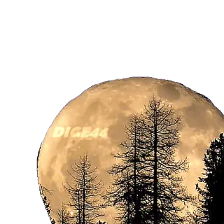 🌕 DIGE44 luna, árboles, noche, naturaleza, silueta telegram sticker