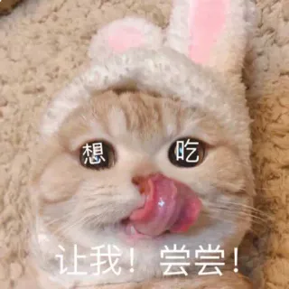 😋 想	吃
让我！尝尝！ gato, conejo, lindo, lamiendo, hambriento telegram sticker