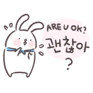 🐰 ARE U OK?
괜찮아 conejo, pregunta, coreano, ¿Estás bien?, ¿Todo bien? whatsapp sticker