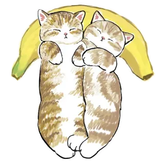 🍌 gatos, plátano, lindo, animales, durmiendo, kawaii, mascota, pegatina whatsapp sticker